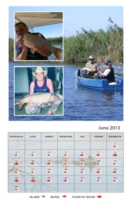 Calendar 2013 - solunare - 6.jpg